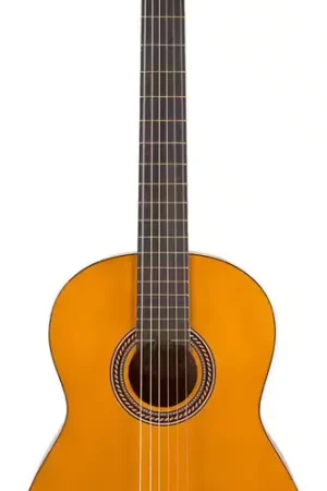 Achetez maintenant - Valencia Vc204 4/4 Naturelle Vintage