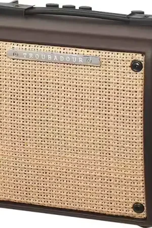 Ibanez Troubadour T15II | Très demandé