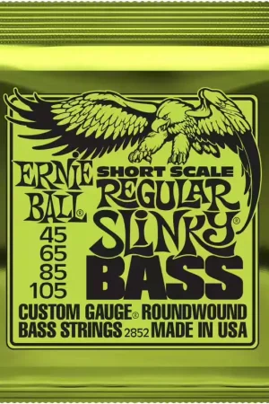 Dernière chance - Ernie Ball 2852 Regular Slinky Short Scale 45-105