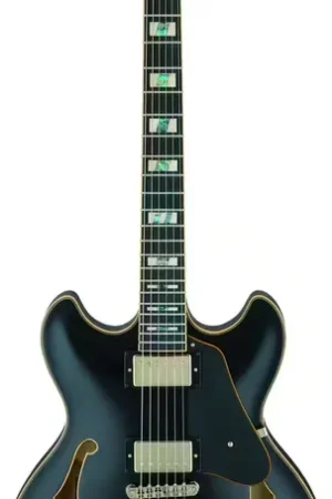 Ibanez JSM20-BKL Black Signature John Scofield - Très demandé