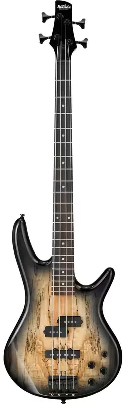 Haute qualité - Ibanez GSR200SM-NGT Natural Gray Burst Gio