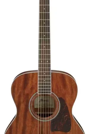 Commandez dès maintenant | Ibanez AC340-OPN Natural Artwood