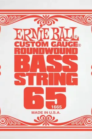 Ernie Ball Slinky Nickel Wound 65 | Haute qualité