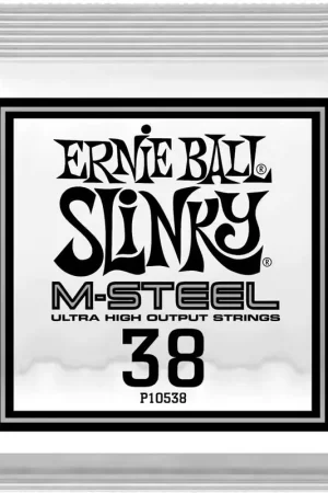 Envoi rapide - Ernie Ball Slinky M-steel 38