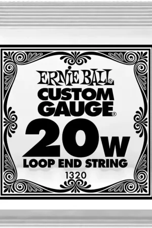 Prix imbattable | Ernie Ball Stainless Steel 20