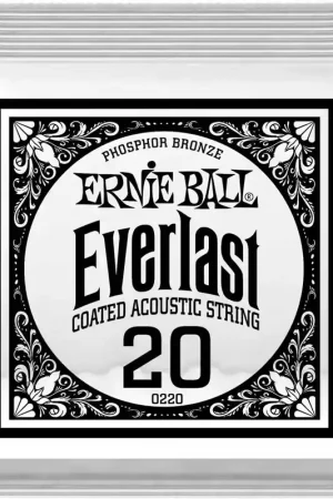 Tout nouveau - Ernie Ball Everlast Coated Phophore Bronze 20
