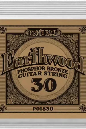 Meilleur prix | Ernie Ball Earthwood Phosphore Bronze 30