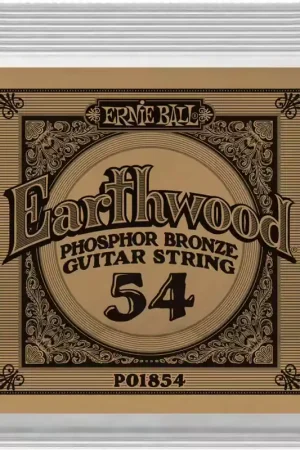 Très populaire | Ernie Ball Earthwood Phosphore Bronze 54