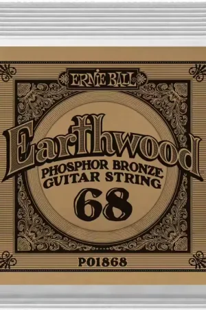 Promo exceptionnelle - Ernie Ball Earthwood Phosphore Bronze 68