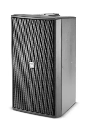 Expédition immédiate - JBL Control 29 AV-1 - Noir