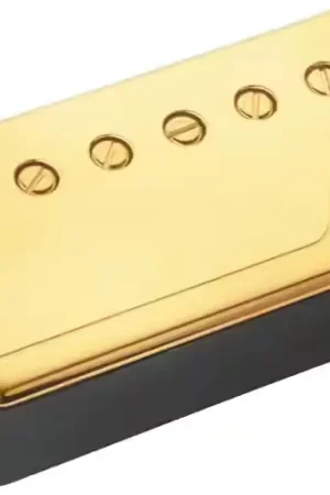 Prix spécial - Fishman Fluence Humbucker Classic Dore Manche