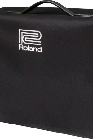 Tout juste arrivé | Roland JC-120 Jazz Chorus Cover