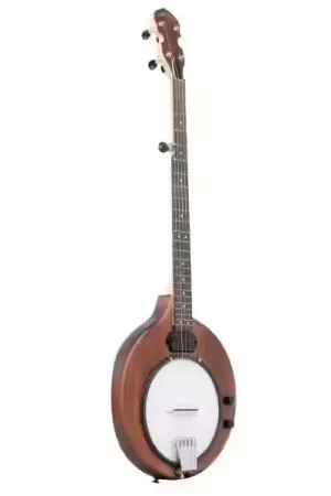 Gold Tone EB-5 Electric Banjo 5-str+bag | Nouveau chez nous