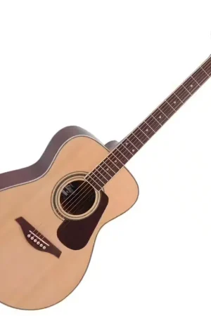 Plus que quelques jours - Vintage Guitars V300Noft Natural