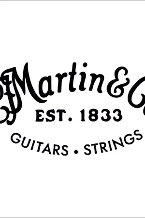 À ne pas manquer | Martin Strings M12HTT SP Acier Plein 12 (Unité)