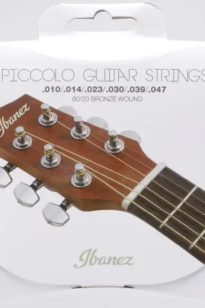 Nouveau produit - Ibanez IPCS6c 80/20 Bronze Wound 10-47