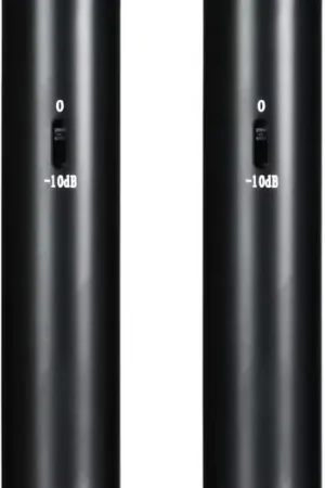 Warm Audio WA-84 Black Stereo | Prix en baisse