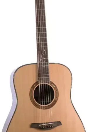 Furch Red Dreadnought Sr | Produit tendance
