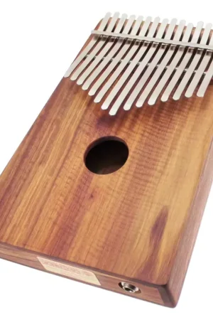 Ami Hugh Tracey Kalimba Alto Chromatic 26 Notes Sur Boite + Pickup | Expédition immédiate