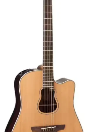 Takamine Japon Signature Garth Brooks Dreadnought Electro - À ne pas manquer