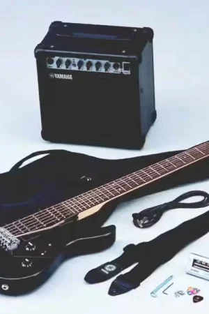 Prêt à expédier | Yamaha Erg121Gpiihii Black