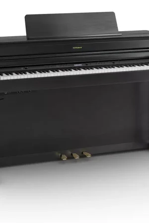 Roland HP704 Noir charbon - Prix promo