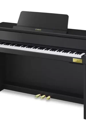 Prix doux - Casio GP-310 BK Celviano