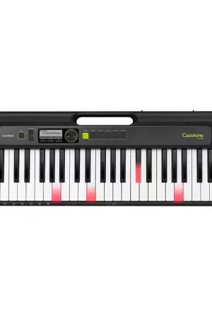 Casio LK-S250 - Petit prix