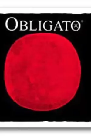 Plébiscité par les clients - Pirastro Obligato 4/4 Jeu - Mi Boule (3131)