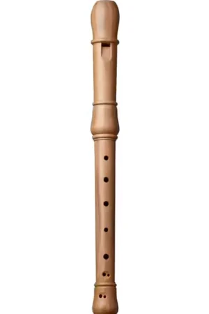 Kung Studio Alto Cerisier 1403 - Premium
