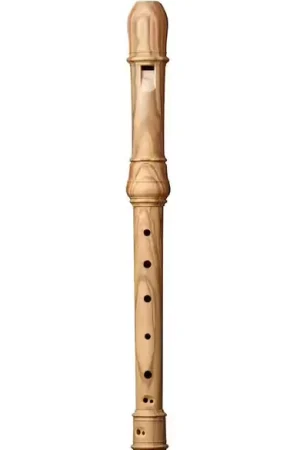 Kung Superio Alto Olivier 2409 - Prix promo