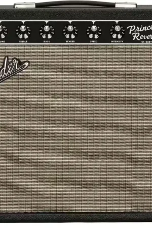 Profitez-en - Fender 64 Custom Princeton Reverb Handwired
