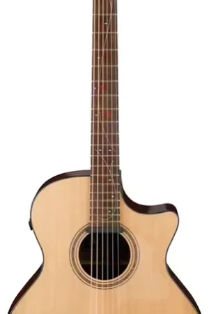 Livraison express | Ibanez Ae275Bt-Lgs Natural