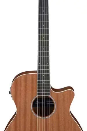 Prix promo - Ibanez AEG7MH-OPN Natural