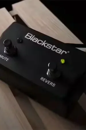 Préféré des clients - Blackstar FS17