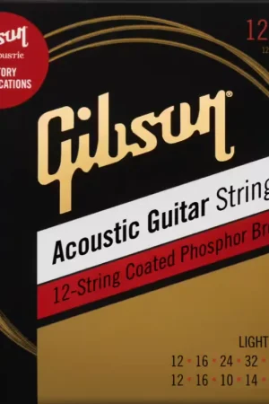Tout juste arrivé | Gibson Accessories SAG-PB12l 12-string Coated Phosphor Bronze 12-53