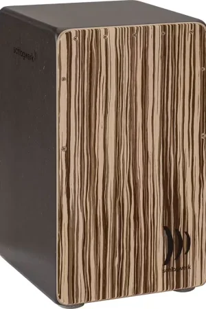 Préféré des clients - Schlagwerk Cajon 2 In One CP410ST 2inone Barista Soft Touch