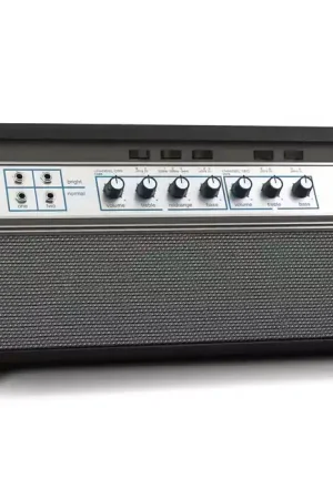 Ampeg Heritage Series SVT Heritage 50TH Anniversary - Expédition immédiate