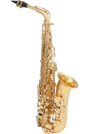 SML Paris A620-II Alto Mib Verni | Bientôt épuisé