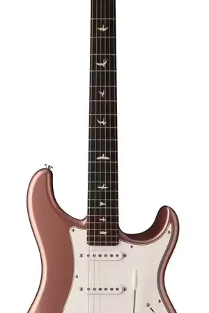 Profitez-en | PRS Silver Sky Midnight Rose