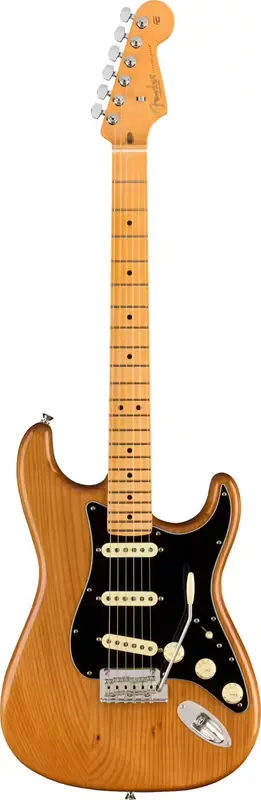 Dépêchez-vous | Fender Stratocaster American Professional II MN Roasted Pine