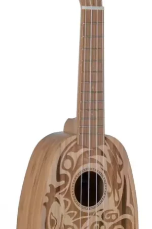 Tout juste arrivé | Gewa Pineapple Ukulele Manoa K-Pa-Bbh Soprano