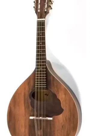 Petit prix | Gewa Mandole Pro Arte Antique