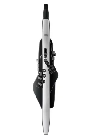 Commandez dès aujourd'hui | Roland Aerophone Pro AE-30