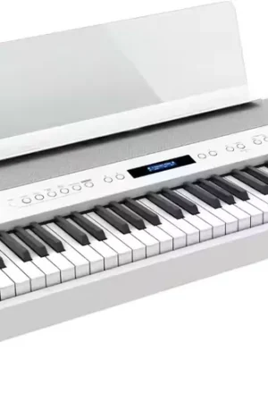 Roland FP-90X Blanc - Petit prix