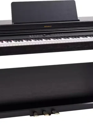 Bien noté | Roland RP-701 Noir