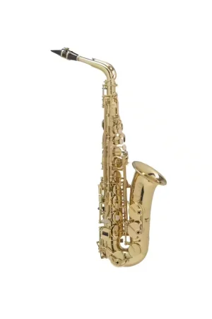 Disponible maintenant - Selmer Axos - Alto Mib Verni