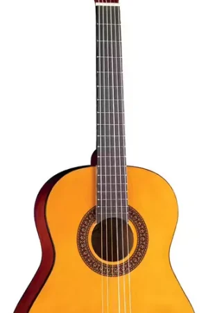 Tout nouveau - EKO CS-5 3/4 Natural + Housse