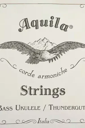Aquila Thundergut Jeu Ukulélé Basse 5 Cordes B-EADG - Coup de cœur des clients