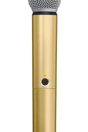 Produit phare | Shure WA713-gld